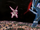 P10 Palkia y Dialga (2).png