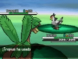 Vuelo NB.gif (1,99 MB) Tropius usando vuelo en la quinta generación.