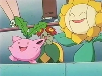 EP180 Hoppip, Bellossom y Sunflora