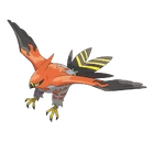 Talonflame