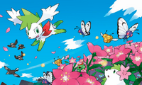 Shaymin y Shaymin cielo