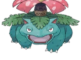Venusaur