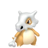 Cubone