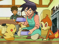 Reggie atendiendo a los Pokémon de Ash.