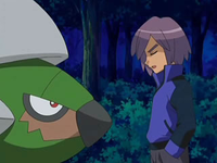 Torterra junto a Paul/Polo.