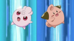 EP659 Cleffa y Igglybuff