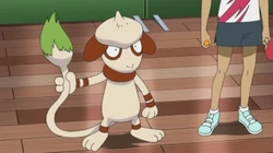 EP1009 Smeargle de Liam
