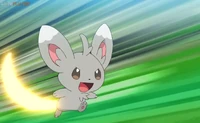 Minccino usando Plumerazo contra el Raboot de Go y el Sobble de Go.