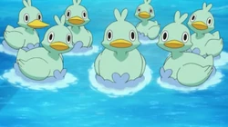 EP773 Ducklett del invernadero