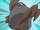 EP1000 Rowlet usando placaje.png