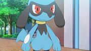 EP1110 Riolu de Ash