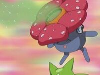 Entrenadores Pokemons - #45 Vileplume es un Pokémon de tipo planta/veneno  introducido en la primera generación. Es una de las dos evoluciones  posibles de Gloom. Vileplume posee los pétalos de flor más