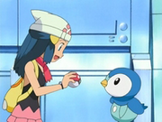 EP470 Maya se queda con Piplup