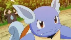 EP869 Wartortle de Benigno