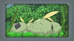 EP859 Gulpin Salvajes