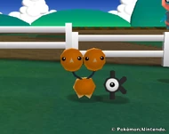 Doduo (My Pokémon Ranch).jpg (63 kB) Doduo en My Pokémon Ranch.