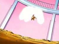 ...y atacan al siguiente que entra en combate, el Chimchar de Paul/Polo.