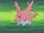 EH11 Corsola de Misty.jpg