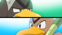 Farfetch'd de Galar de Ash vs Farfetch'd de Go de Kanto.