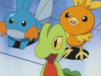 Los iniciales de Hoenn en el EP310.