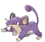 Rattata
