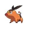 Tepig