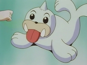 EP007 Seel