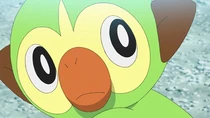 Imagen de Grookey