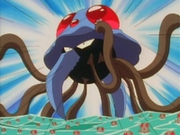 EP019 Tentacruel gigante