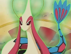 EP311 Presentación de Robert