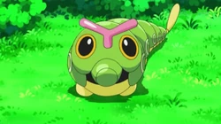 EP792 Caterpie