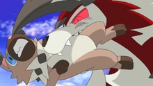 Lycanroc usando triturar.