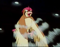 Pidgeotto de Ash usando remolino.