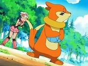 Buizel ignorando a Dawn/Maya.