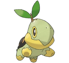 Turtwig