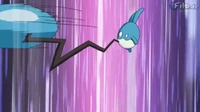Un Azumarill usando látigo.