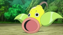 Imagen de Weepinbell