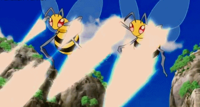 Dos Beedrill de Galen usando pin misil en la P09.