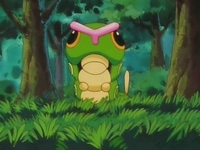 Superan Pokémon Verde Hoja usando solamente un Caterpie