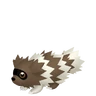 Zigzagoon