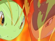 Typhlosion ayudando a Meganium