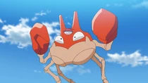 Imagen de Krabby
