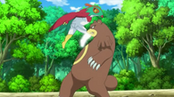 Hawlucha de Ash usando patada salto alta sobre un Ursaring.