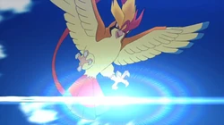 TA03 Mega-Pidgeot (2)