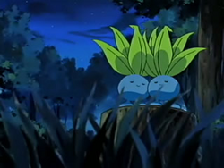 Entrenadores Pokemons - #43 Oddish Oddish es un Pokémon de tipo planta/ veneno introducido en la primera generación. Oddish es un pequeño y muy  común Pokémon que pasa el día bajo tierra dejando