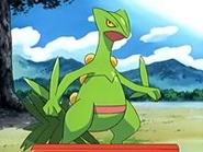 EP438 Sceptile de Ash