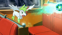 Shaymin usando energibola en la P11.