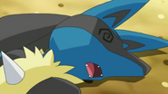 Lucario debilitado.