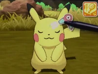 Acicalando a un Pikachu