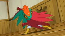 Imagen de Hawlucha